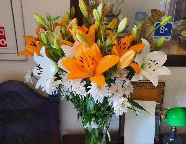 Residencial Alentejana Coimbra