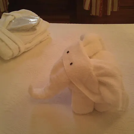 מלון Residencial Alentejana קוימברה